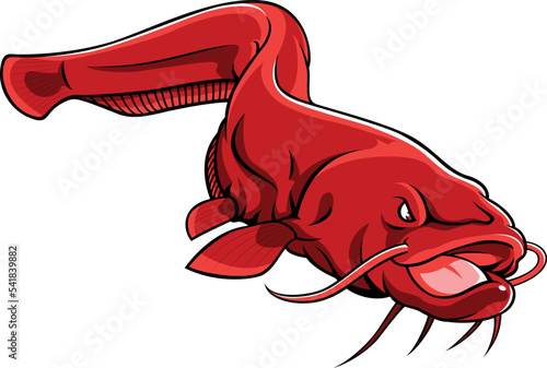 Aggressive Giant Red Catfish Attacking