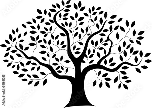 Tree, black and white illustration
