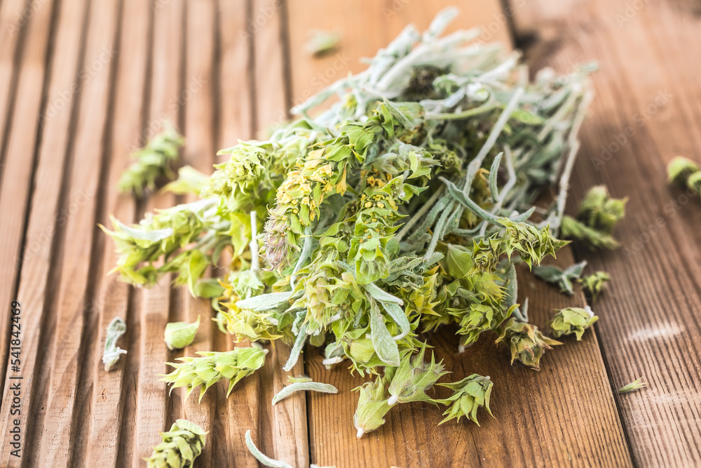 Bunch of dried green ironwort (Sideritis) twigs, also known as Mountain tea - traditional herbal tea in Greece Bunch of dried green ironwort (Sideritis) twigs, also known as Mountain tea - traditional herbal tea in Greece