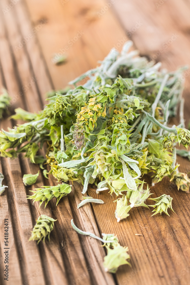 Bunch of dried green ironwort (Sideritis) twigs, also known as Mountain tea - traditional herbal tea in Greece Bunch of dried green ironwort (Sideritis) twigs, also known as Mountain tea - traditional herbal tea in Greece