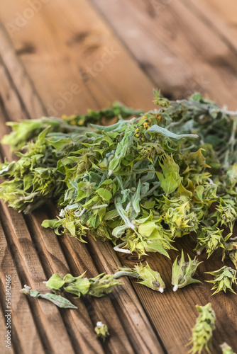 Bunch of dried green ironwort (Sideritis) twigs, also known as Mountain tea - traditional herbal tea in Greece