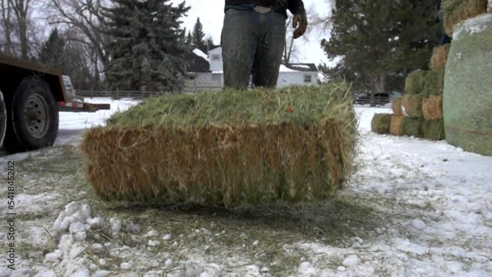 Slow Motion Lockdown Shot Of Man Throwing Hay Grass On Snowy Landscape