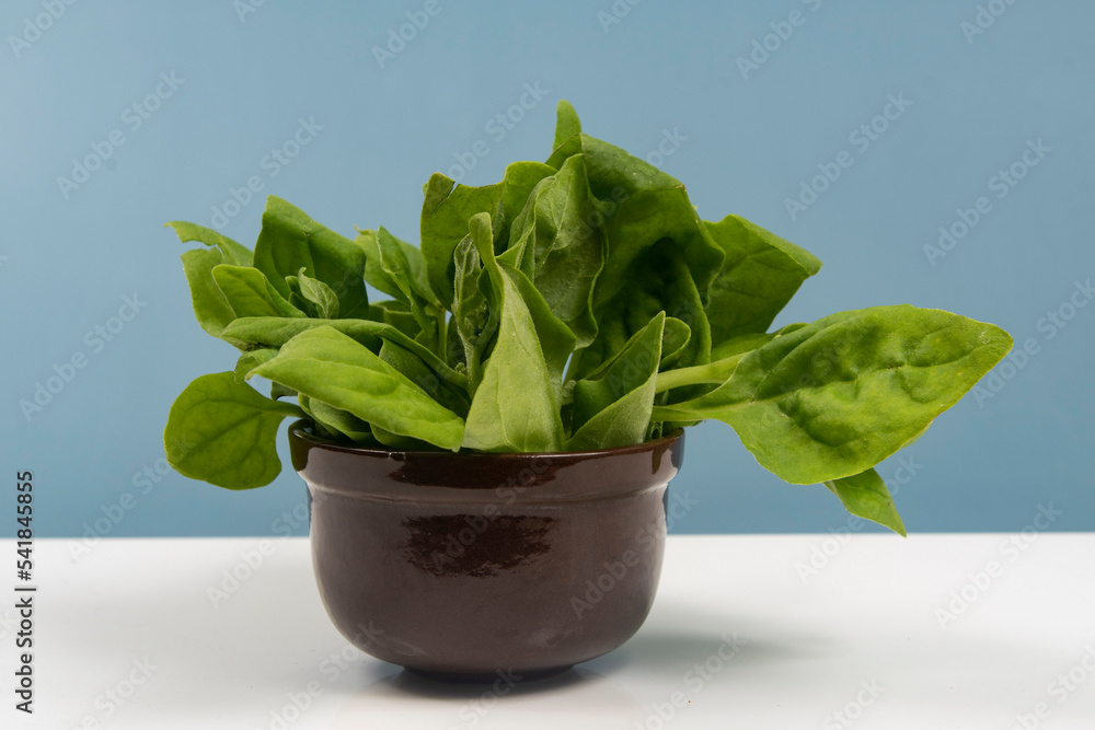 Pot with raw spinach leaves isolated, Stock Photo | Adobe Stock