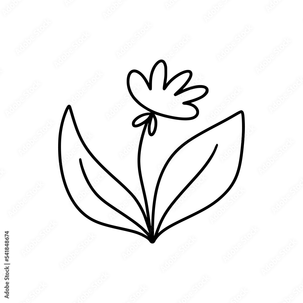 Forest flower in doodle style. Isolated on a white background. Vector illustration. Forest flower in doodle style. Isolated on a white background. Vector illustration.