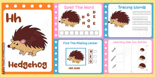 worksheets pack for kids with hedgehog vector. children's study book