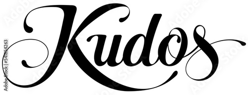 Kudos - custom calligraphy text