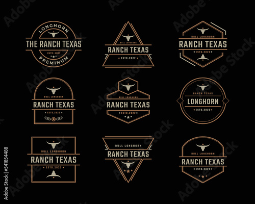Vintage Retro Badge Emblem Texas Longhorn, Country Western Bull Cattle Logo Design Linear Style
