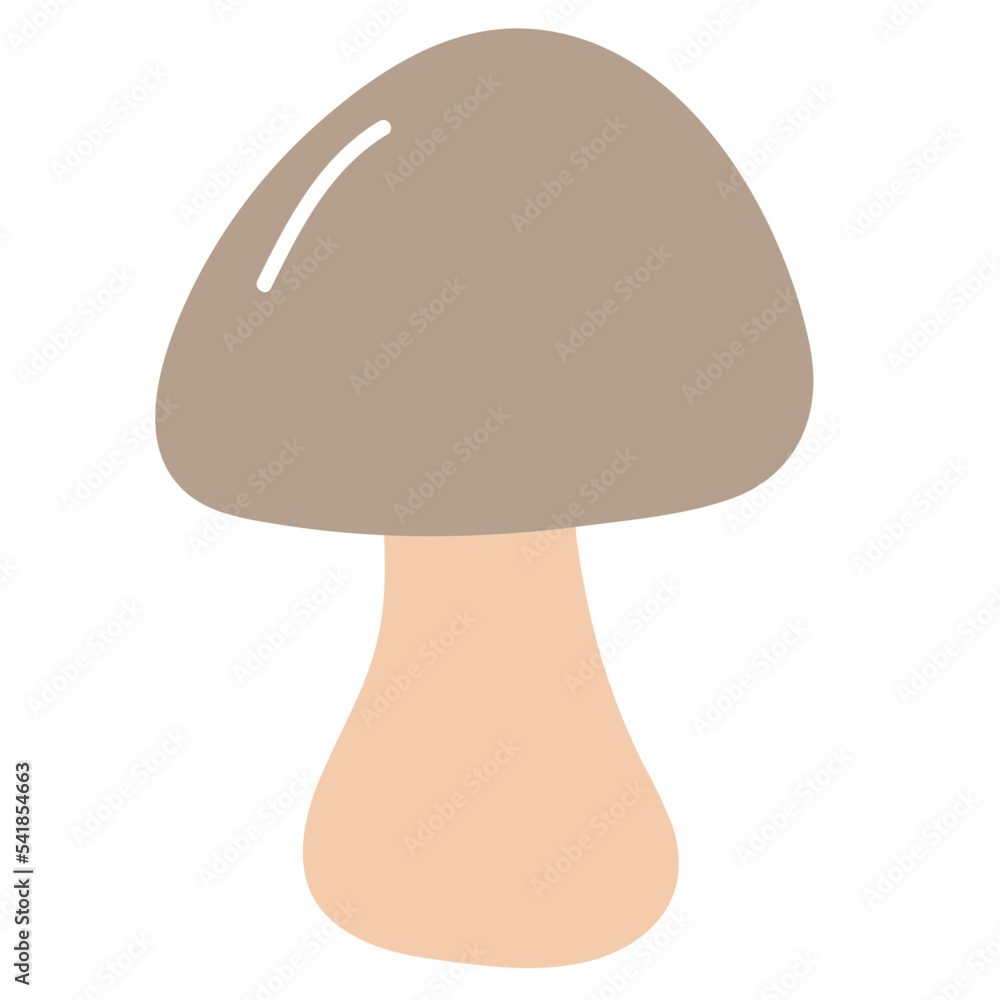 mushroom health vegetable food vegan fungi fungus canvakeyed doodle flat