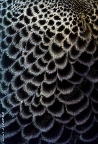 Wallpaper with a close-up of a black-and-white fantasy fur texture,  Generative AI  © Olena Panasovska