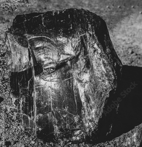 A large boulder made out of obsidian resting on the ground in Oregon, USA. 