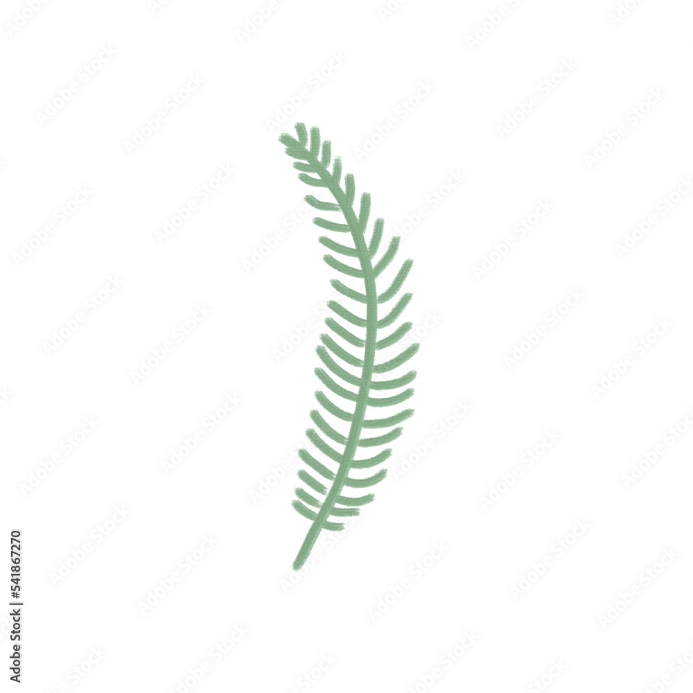acrylic color oil paint of greenery leaf plant forest herbs tropical leaves transparent background
acrylic color oil paint of greenery leaf plant forest herbs tropical leaves transparent background