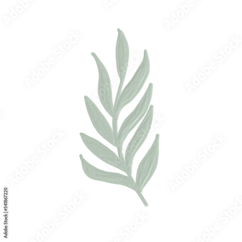 acrylic color oil paint of greenery leaf plant forest herbs tropical leaves transparent background
