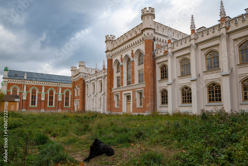 A black dog guards the territory of the Imperial Gothic stables on a cloudy October day. Peterhof