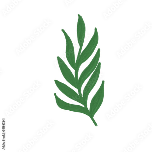 acrylic color oil paint of greenery leaf plant forest herbs tropical leaves transparent background
