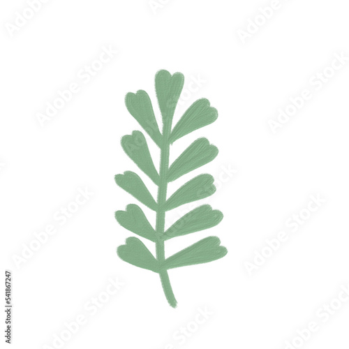 acrylic color oil paint of greenery leaf plant forest herbs tropical leaves transparent background
