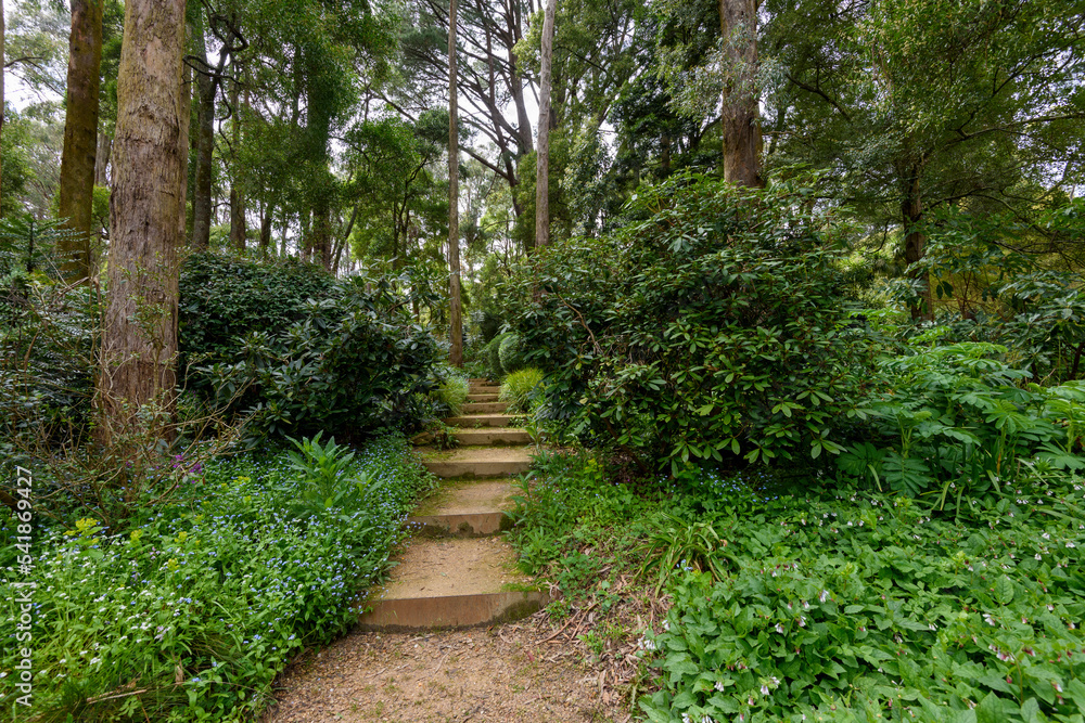 Spring garden Garden of Erth in Blackwood, Victoria Australia Spring garden Garden of Erth in Blackwood, Victoria Australia