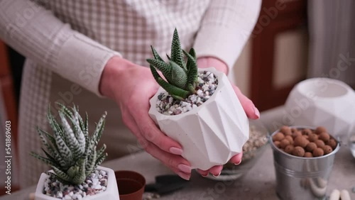 Woman holding White ceramic Pot with Haworthia Succulent potted photo