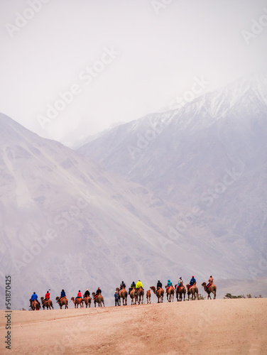 Hunder is a village in Leh district of Ladakh, India famous for Sand dunes, Bactrian camels.