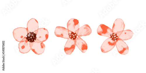 set of red flower illustrations in watercolor style