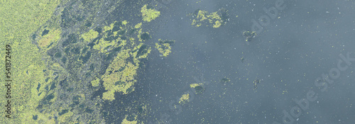 Garbage and blooming green water. Algae bloom due to pollution. Environment and water pollution protection concept. Banner