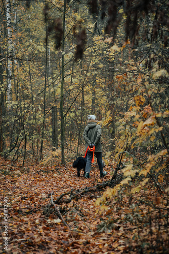 Girl walk in autumn forest with a dog. Healthy lifestyle concept