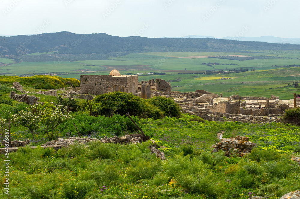 Agricultural activity in Oued Khalled viewed from roman era ruins, Dougga, Tunisia
