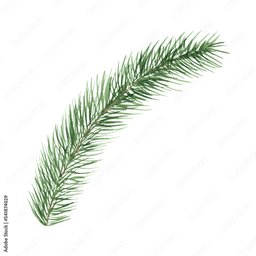 Naklejka premium Watercolor Christmas tree branches. Hand painted texture with fir-needle natural elements. isolated. freehand drawing of festive needles from spruce, decoration for christmas and new year
