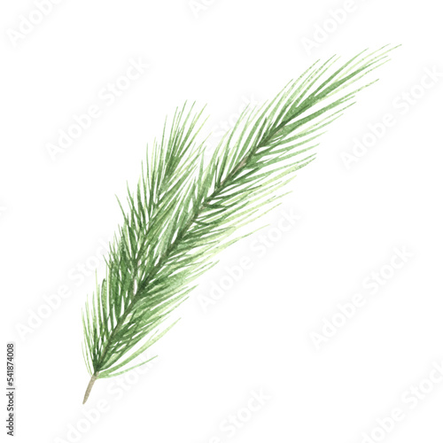 Watercolor Christmas tree branches. Hand painted texture with fir-needle natural elements. isolated. freehand drawing of festive needles from spruce, decoration for christmas and new year
