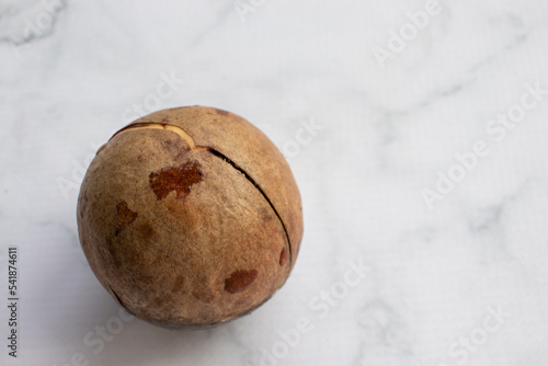Sprouting avocado pit on white table background. Top view, copy space