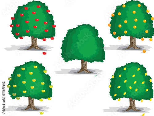 Fruit Trees