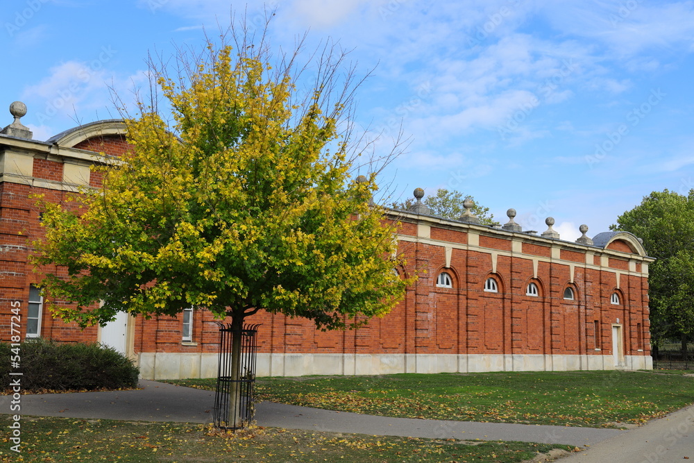 Obraz premium A tree next to a stable block 