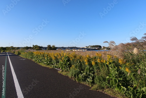 Teganuma Nature Community Greenway in Kashiwa, Chiba, Japan. October 26, 2022