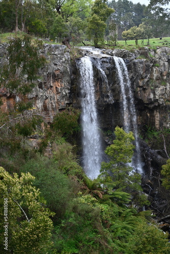 Sailors Falls waterfall  Hepburn Regional Park   Daylesford  Victoria  Australia