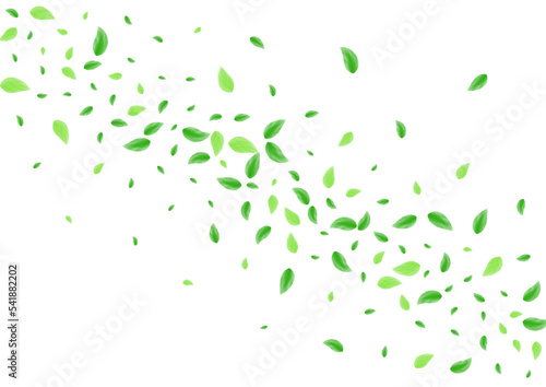 Light Green Greenery Background White Vector. Leaf Space Texture. Food Frame. Greenish Floral Illustration. Foliage Fresh.