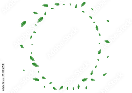 Light Green Plant Background White Vector. Foliage Shape Card. Decor Frame. Greenish Bio Illustration. Sheet Style.