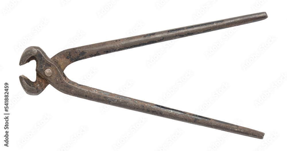 Pairs of old pincers and nippers isolated Pairs of old pincers and nippers isolated