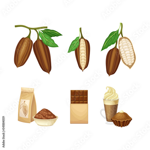 Fresh cocoa pods with seeds and chocolate products set. Cocoa drink, chocolate bar, powder vector illustration