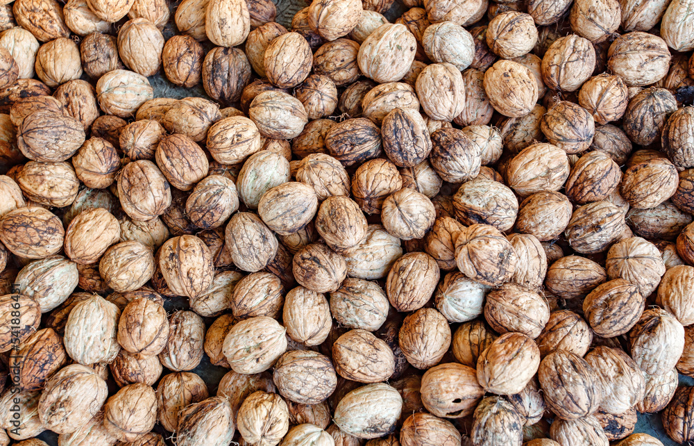 Walnuts, unbroken in bulk, many pieces, background of nuts Walnuts, unbroken in bulk, many pieces, background of nuts