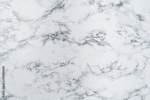carrara statuarietto white marble.