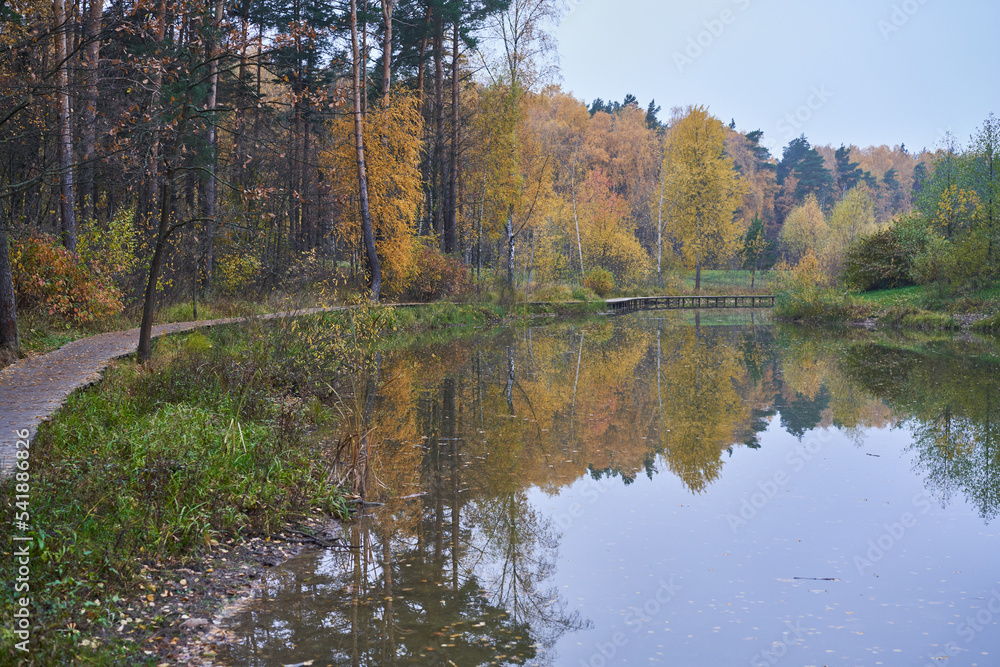 Pond surrounded by yellow trees in afternoon.