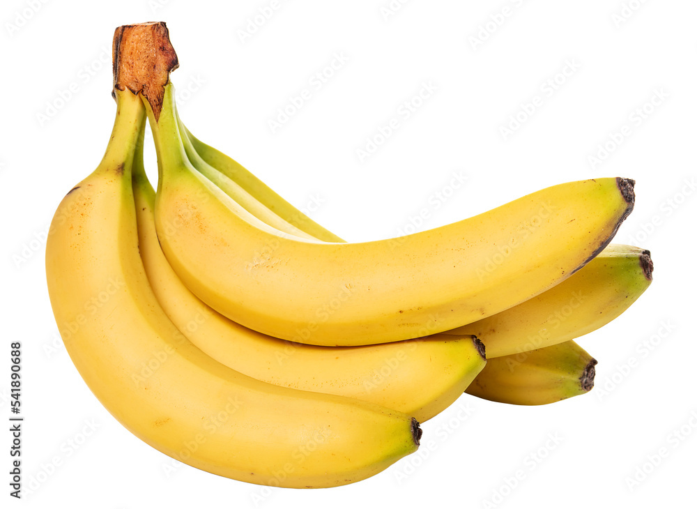 PNG. Bananas. Bunch of ripe bananas