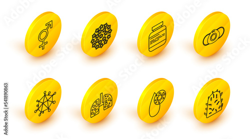 Set line Rabies virus, Blood test and, Virus cells in lung, Medical protective mask, Medicine bottle pills, and Gender icon. Vector