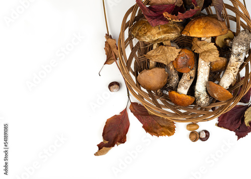 Fototapeta Naklejka Na Ścianę i Meble -  Still life with forest mushrooms and fallen leaves. Porcini mushrooms and boletus mushrooms in a wicker basket. Autumn minimalist composition.