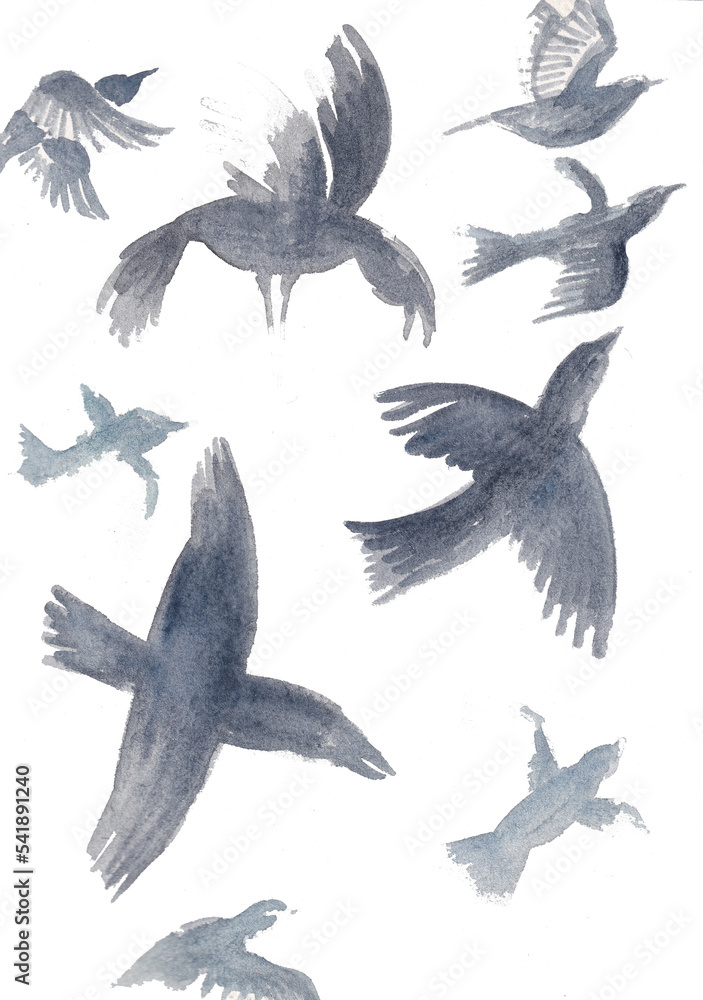 Obraz premium Illustration of a set of birds. Illustration of few flying birds. sweet and soft graphic resource. 