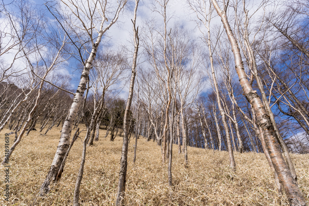 半月山登山道　栃木県　日光市
