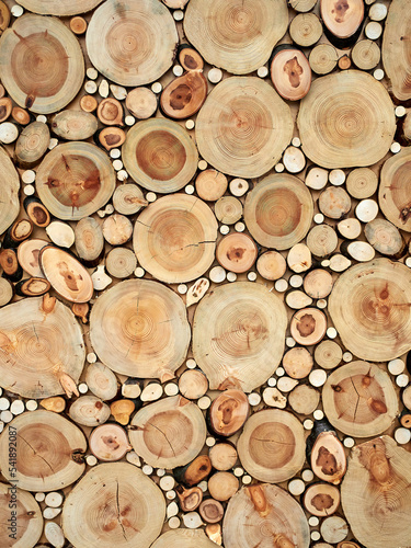Beautiful wooden texture from saw cuts of trees of different diameters