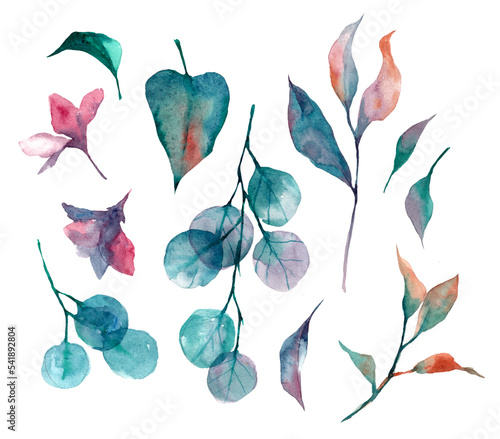 Watercolor isolated set of leaves and flowers, autumn colorful illustration 