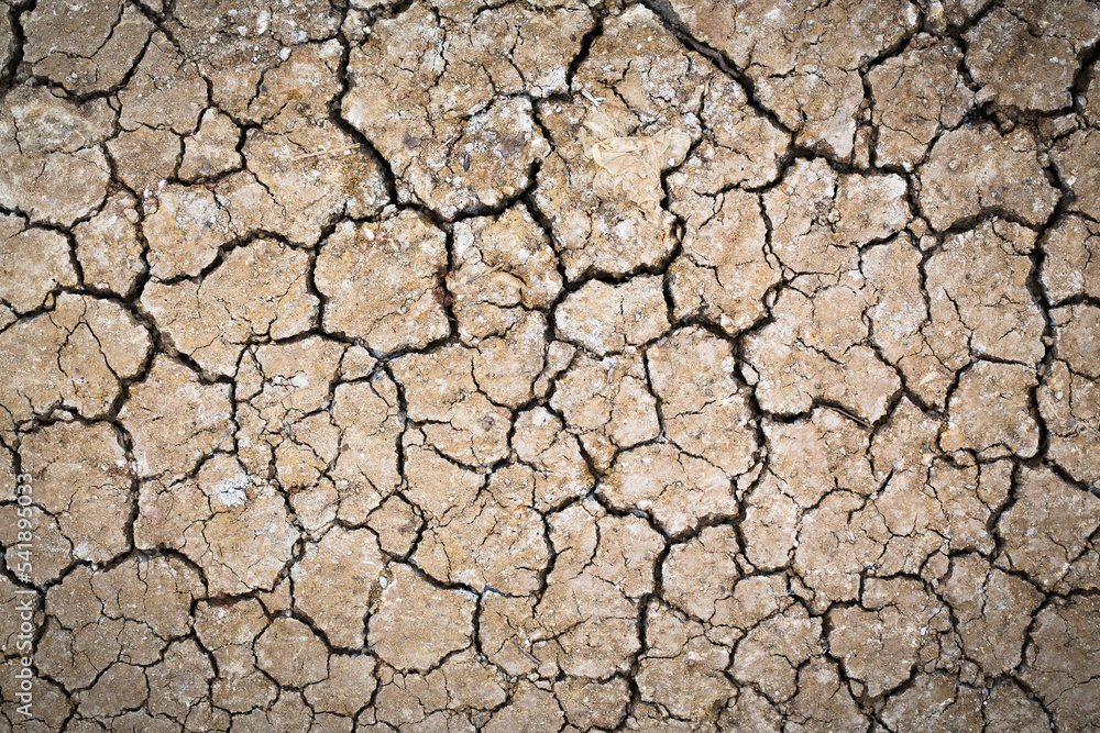 Barren ground. Dry and cracked earth background Barren ground. Dry and cracked earth background