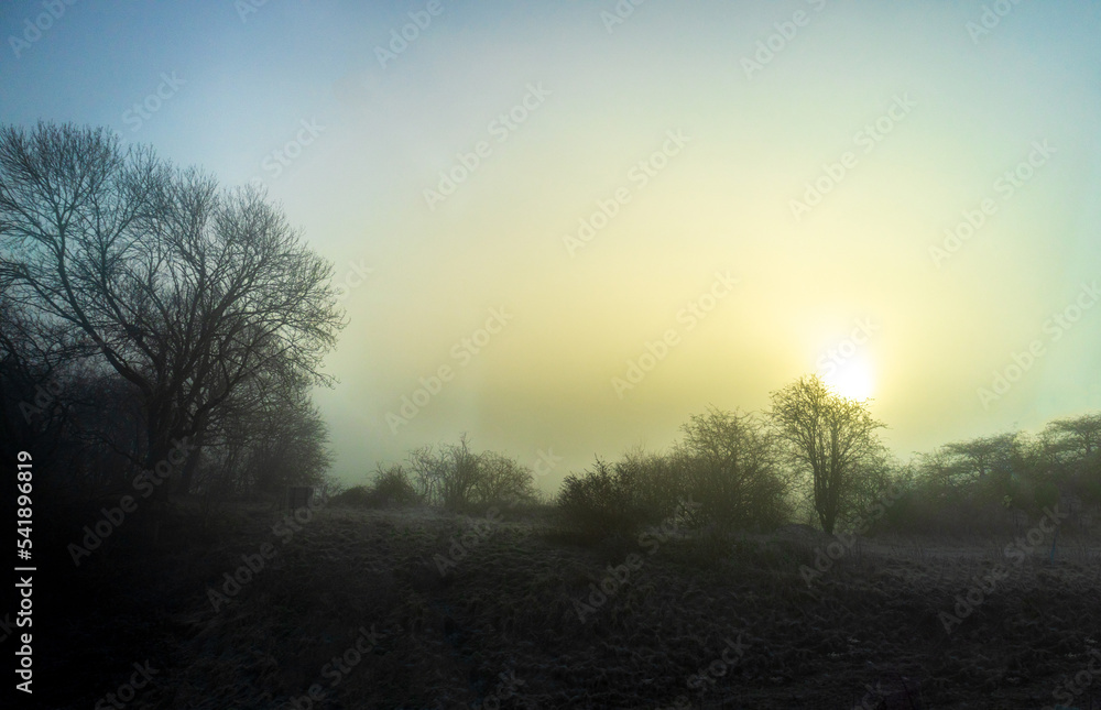 Misty Countryside Landscape