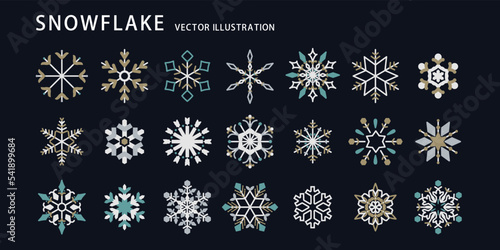 雪の結晶 デザイン _ ベクター 素材 セット アイコン イラスト 配色 カラー シック 